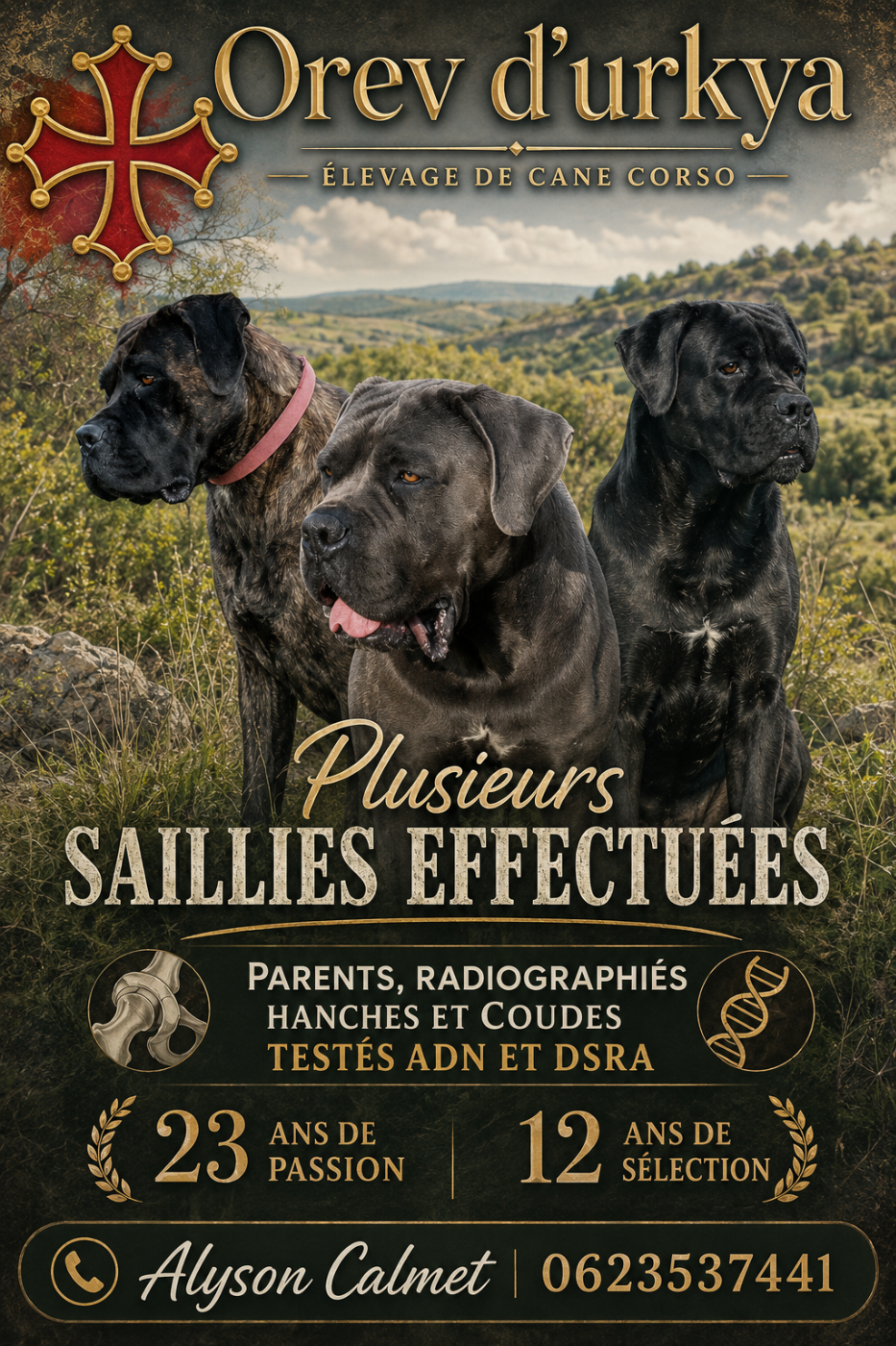 Enfin des bébés à l'elevage <3